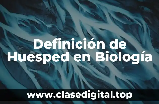 ➡️ Definición Técnica de Huesped