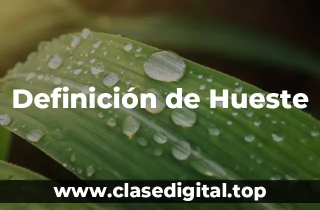 📗 Definición técnica de Hueste
