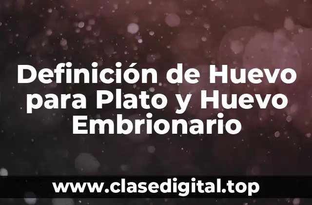 📗 Definición Técnica de Huevo para Plato