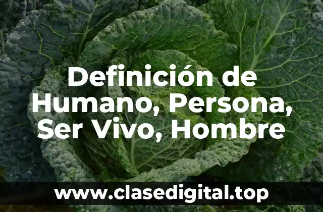 ➡️ Definición Técnica de Humano, Persona, Ser Vivo, Hombre