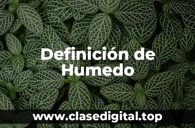 Definición de Humedo