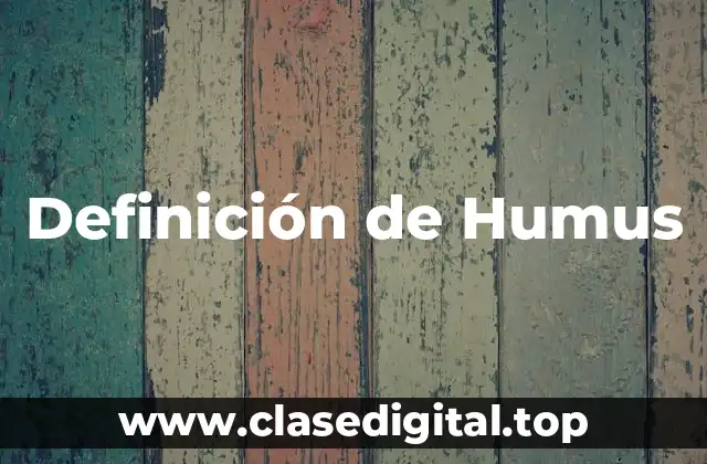 Definición de Humus