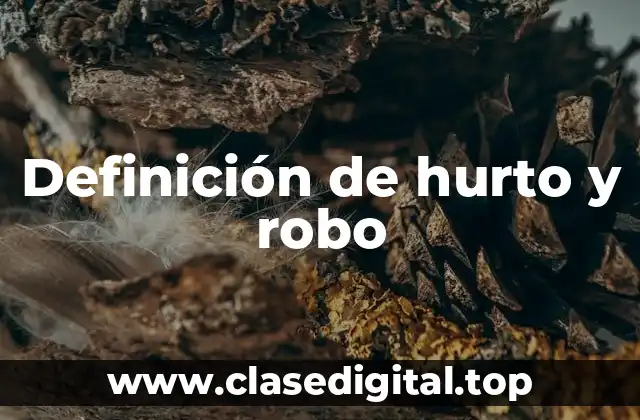 Definición de hurto y robo