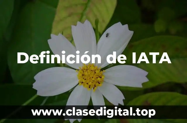 Definición de IATA