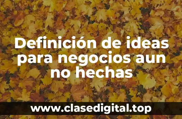 Definición de ideas para negocios aun no hechas
