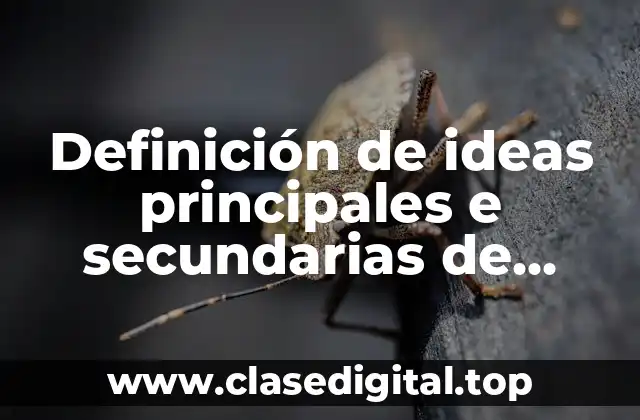 Definición de ideas principales e secundarias de español