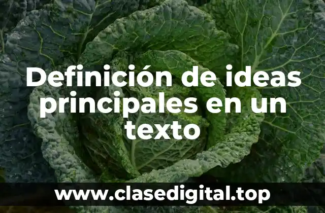 Definición de ideas principales en un texto