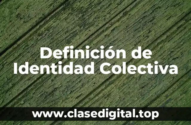 Definición de Identidad Colectiva