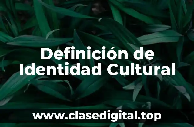 Definición de Identidad Cultural