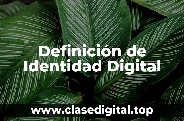 Definición de Identidad Digital