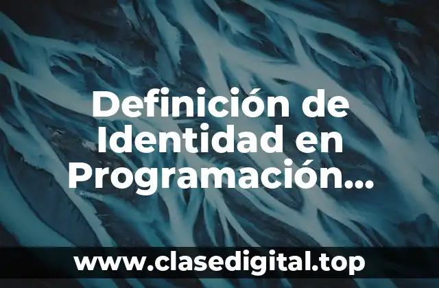 Definición de Identidad en Programación Orientada a Objetos