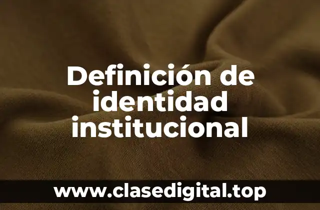 ✳️ Definición técnica de identidad institucional