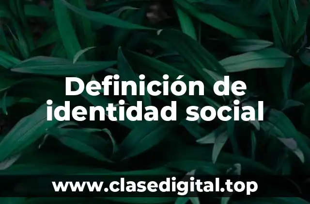 Definición de identidad social