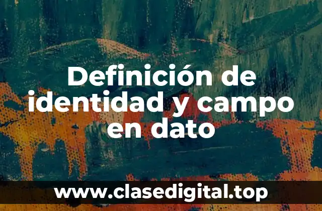 ✔️ Definición técnica de identidad y campo en dato