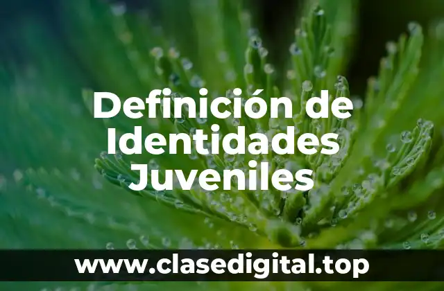 Definición de Identidades Juveniles