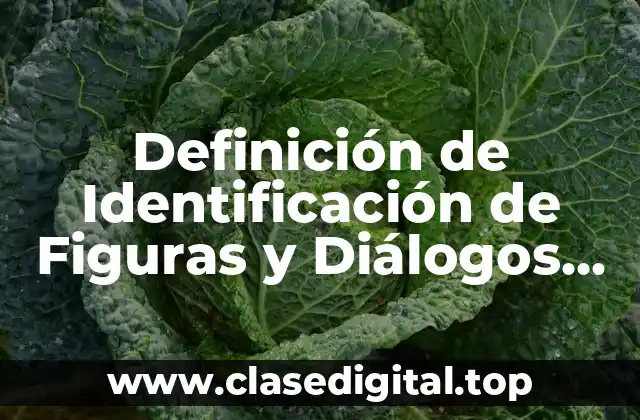 Definición de Identificación de Figuras y Diálogos (idf)