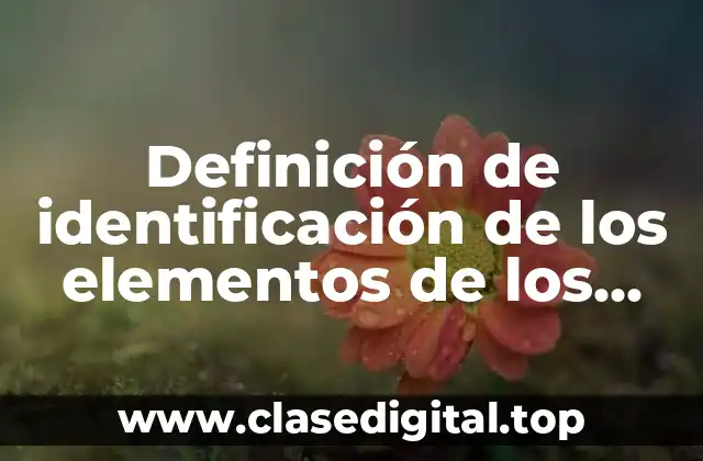 Definición de identificación de los elementos de los impuestos