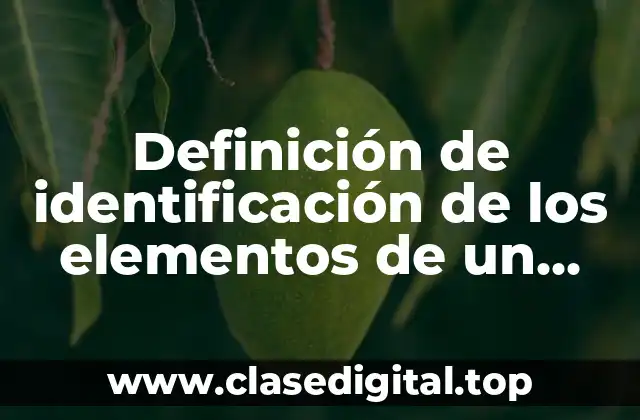 Definición de identificación de los elementos de un argumentación