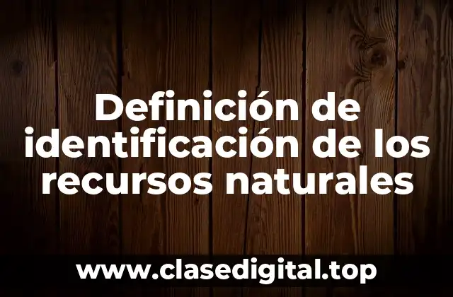 Definición de identificación de los recursos naturales