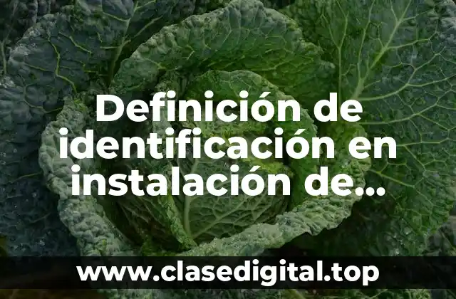 Definición de identificación en instalación de servicios