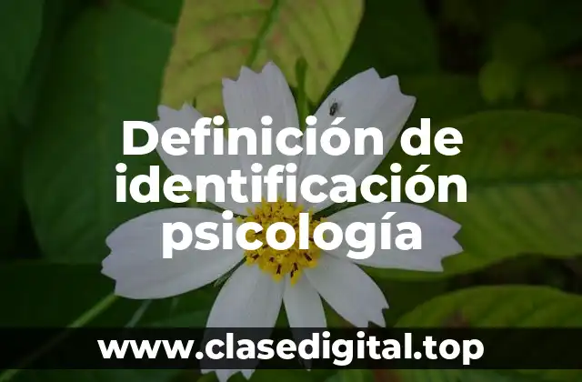 Definición de identificación psicología