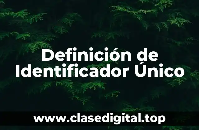 Definición de Identificador Único