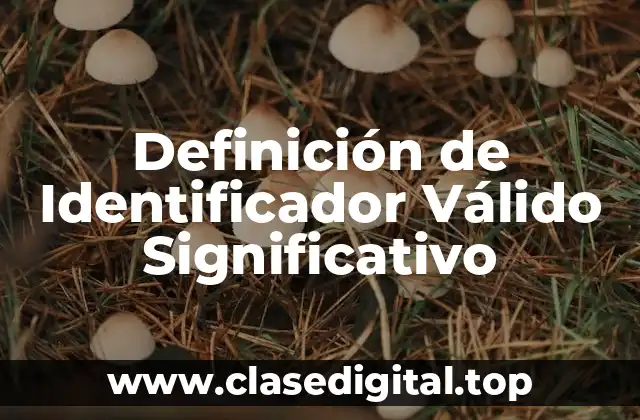 Ejemplos de Identificadores Válidos Significativos