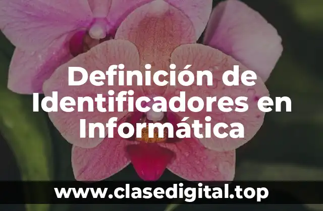Definición de Identificadores en Informática