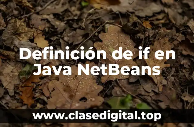 Definición de if en Java NetBeans