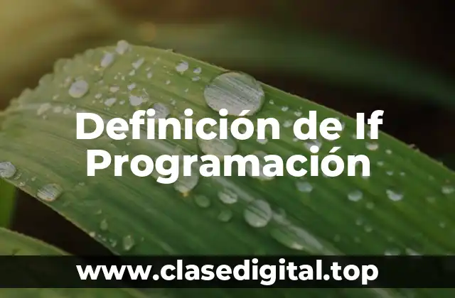 Ejemplos de If Programación