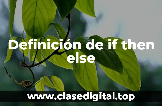 Definición técnica de if then else