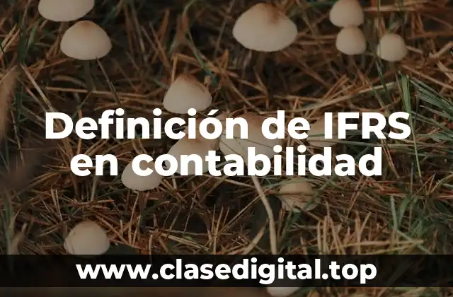 Definición de IFRS en contabilidad