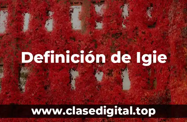 Definición de Igie
