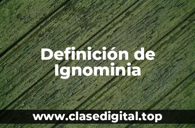 Definición técnica de Ignominia