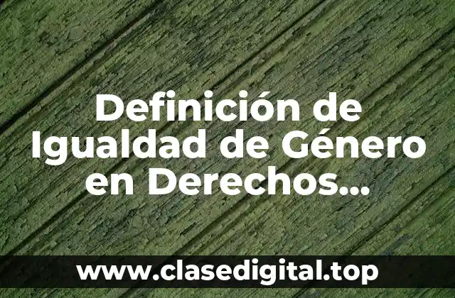 Definición de Igualdad de Género en Derechos Humanos