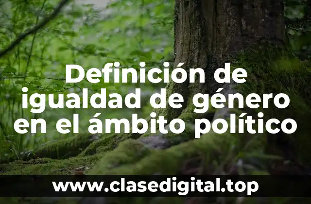Definición de igualdad de género en el ámbito político