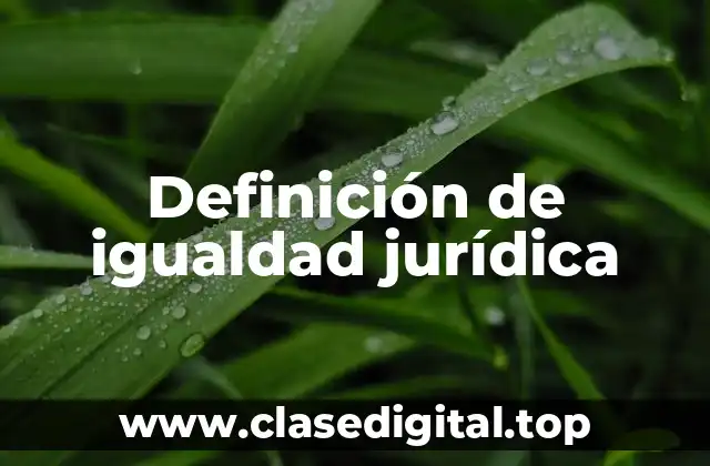 Definición técnica de igualdad jurídica
