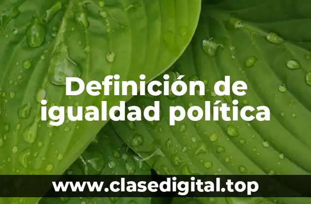Definición de igualdad política