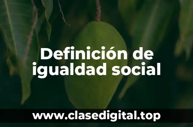 Definición de igualdad social