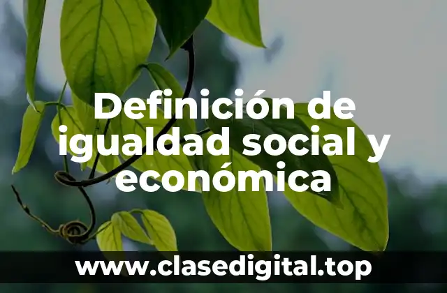 Definición de igualdad social y económica