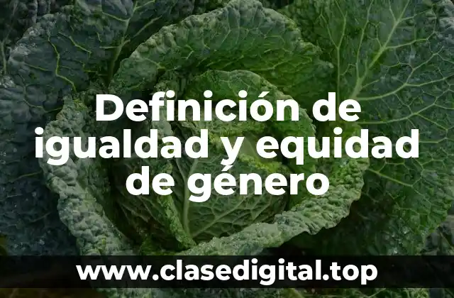 Definición de igualdad y equidad de género