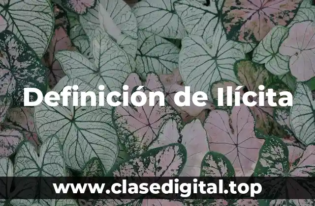 Definición de Ilícita