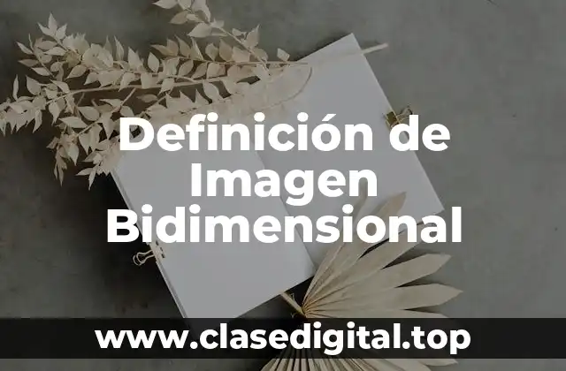 Definición de Imagen Bidimensional