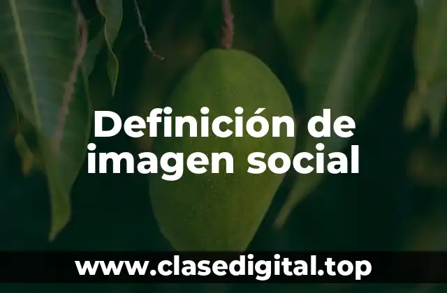 Definición de imagen social