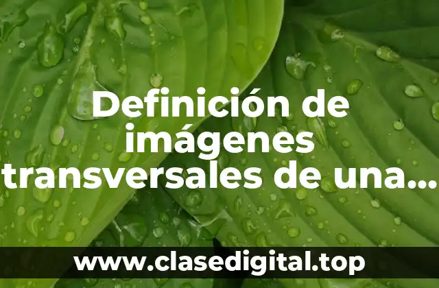 Definición de imágenes transversales de una TC
