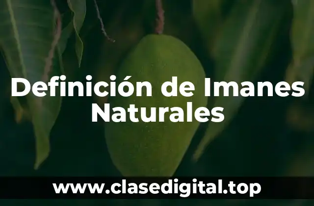 Definición de Imanes Naturales