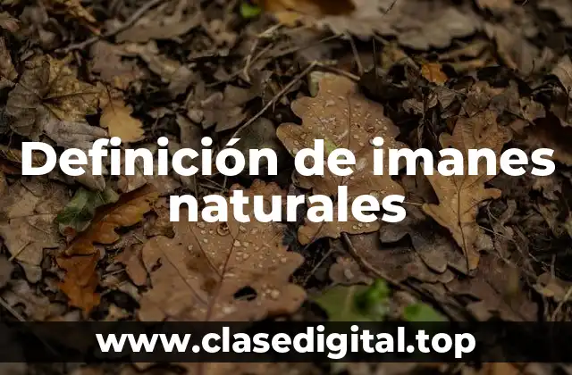 Ejemplos de imanes naturales