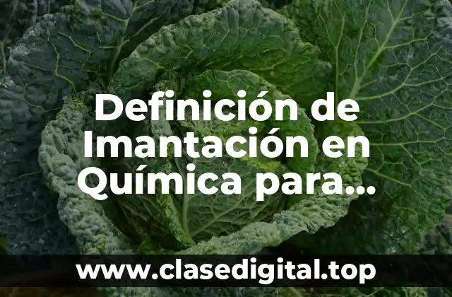 Definición de Imantación en Química para Separar Mezclas