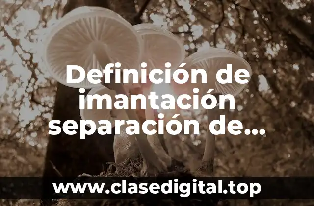 Definición de imantación separación de mezclas