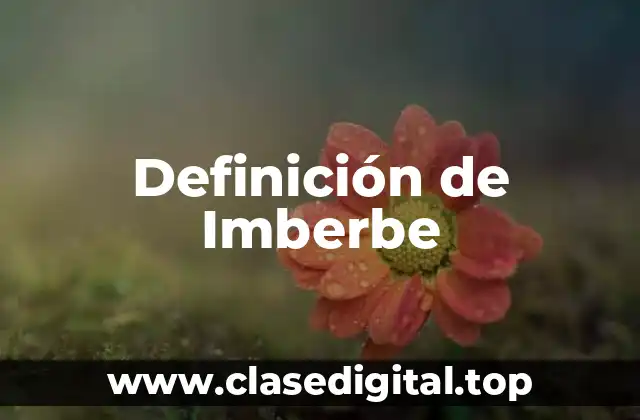 Definición de Imberbe